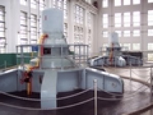 TL系列同步電動(dòng)機(jī)
